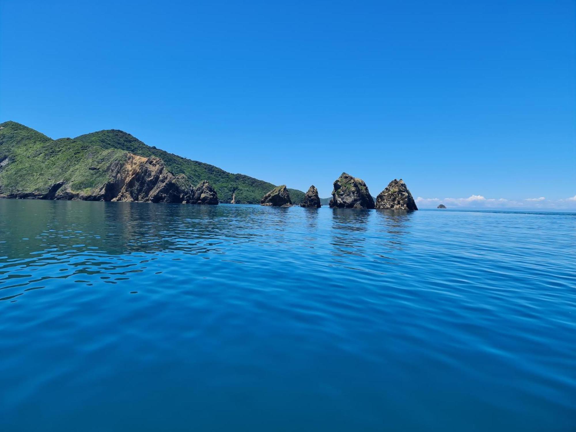 布伦海姆 To Tatou Kainga旅舍 外观 照片